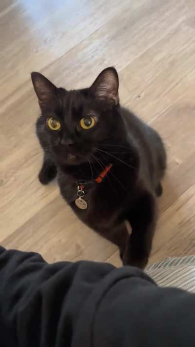 the Void demands attention