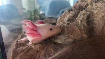 I can’t believe she didn’t move