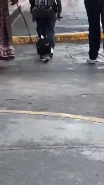 Humans have gone too far