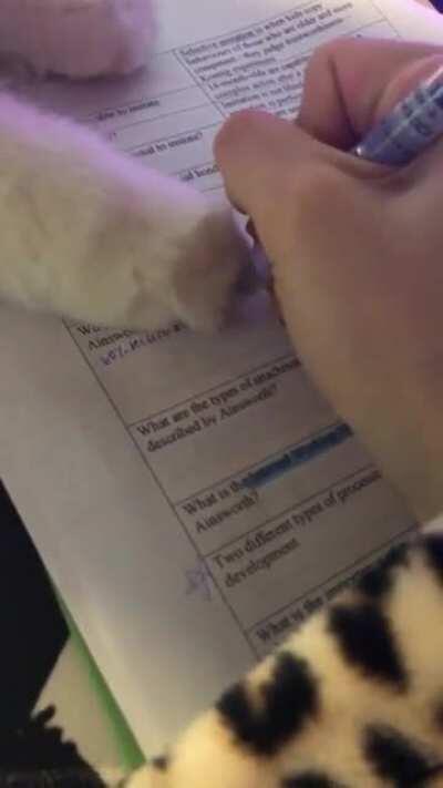 Studying not allowed!!