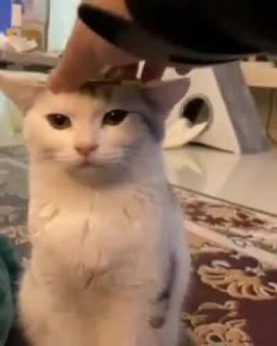 The queen with her crown