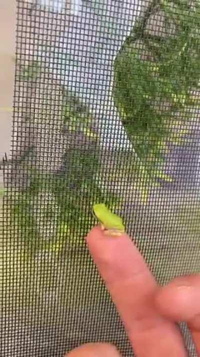 Processing a little slow but beware