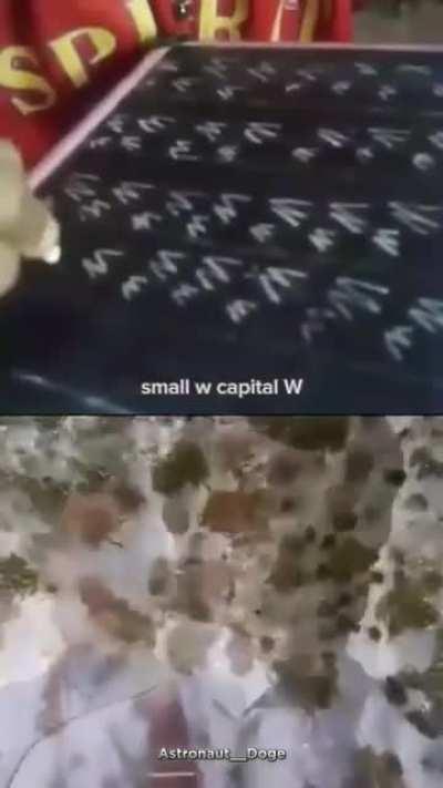 WHAT A SHITTY VIDEO wasted 3hrs