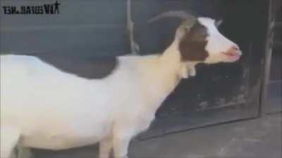 AA…AA…AA…AA…AAAAAAAAAAAA