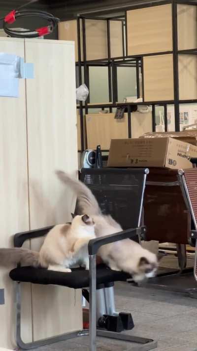 Something that always happens in our workplace.......