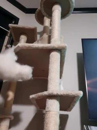 Catculation failed unexpectedly