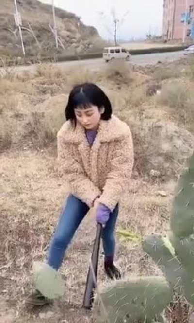 'I'm so bad, I'm gonna damage a plant for absolutely no reason'