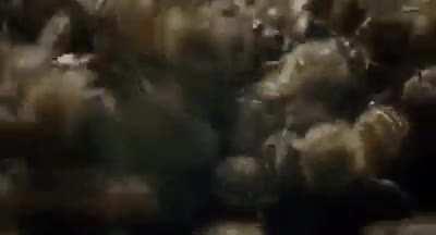 When threatened, bees descend o to a wasp/hornet and run around them, heating the wasp and roasting it alive