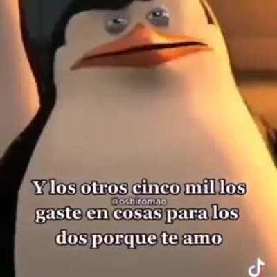 Beelce míralo completo vale la pena