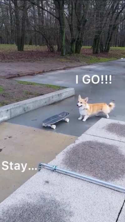 The hardest part is keeping him from jumping on the skateboard straight away