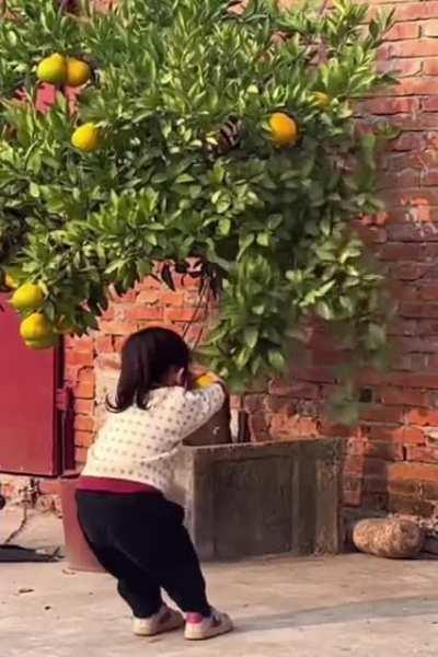 Life's moments captured in watercolors