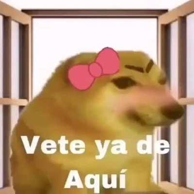 Primeiro meme depois da minha ressurreição