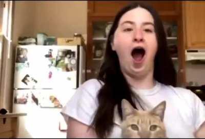 A progressive girl vs. a conservative cat.