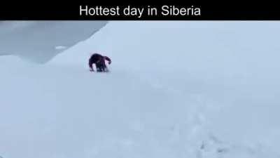 Ultimate Asia slander