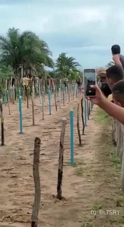 Horse sends brazilian guy into another dimension.