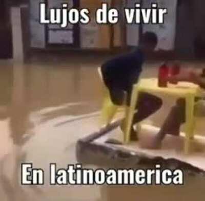 Lujitos🤑🤑🤑🤑