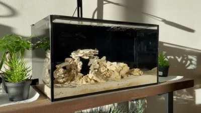 A calming looped gif of my new saltwater aquarium