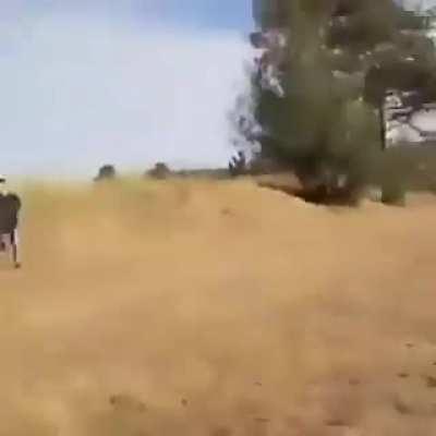 OE AWEONAO ERI TERRIBLE MARACO