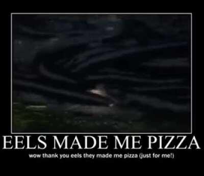 Aren't they so nice?