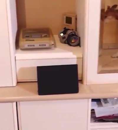 Это Я,Марио!