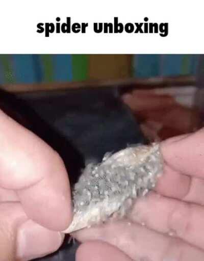Thanks I hate spider unboxings