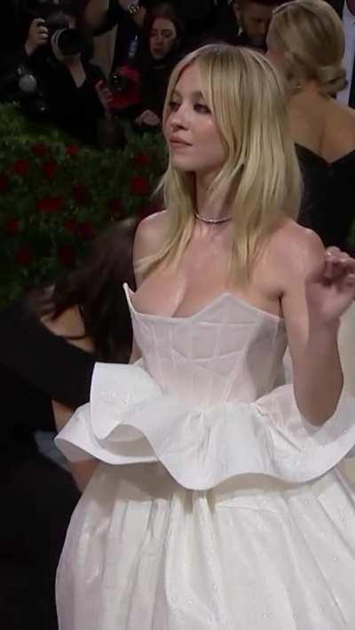 Gorgeous at the 2022 Met Gala