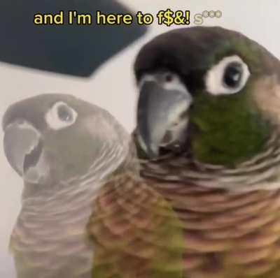 This one isn’t afraid of saying it