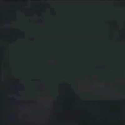 metalgearsolid - Video #4674