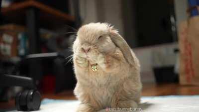 Finally caught this on video