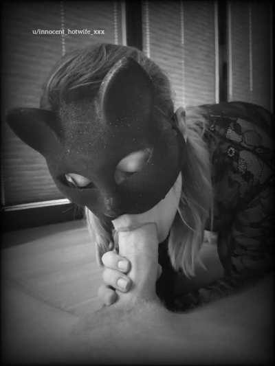 The cat that got the cream... Happy Halloween 🎃