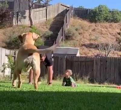 | target is in the main house, you have execute authority |. Barko 6, going dark