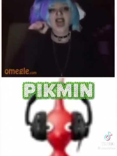 Use your mind and guess what red pikmin was saying.