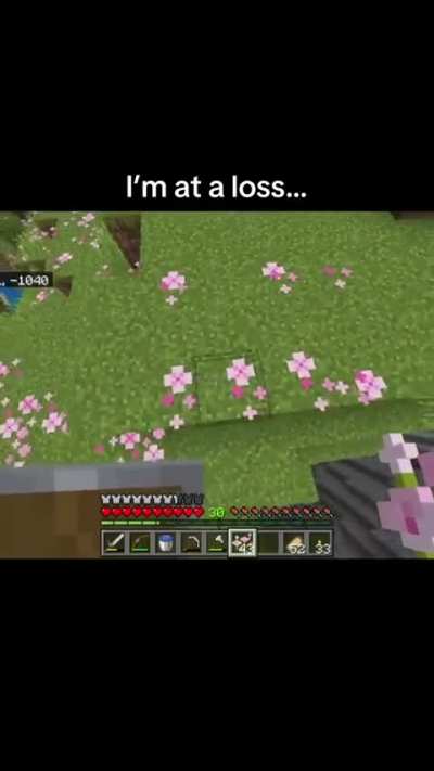 minecraft be trippin