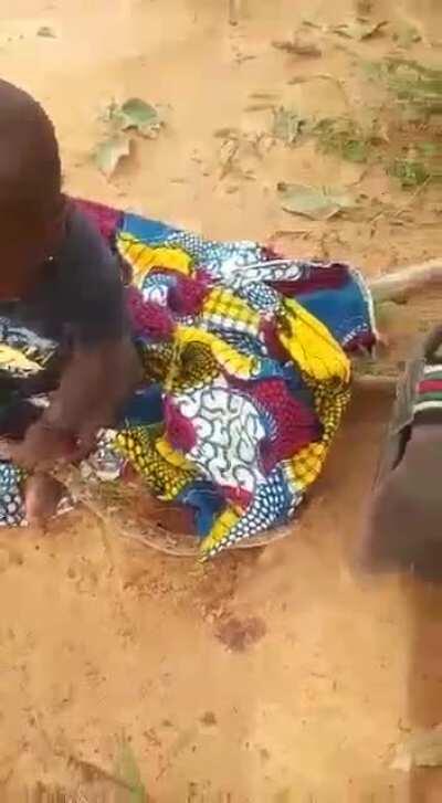 The perfect chew toy