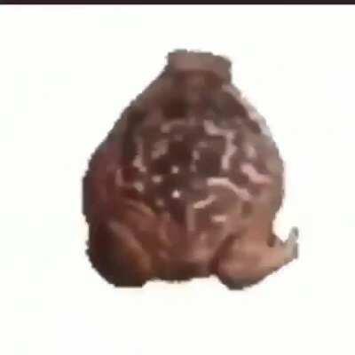 Around the world but its a frog