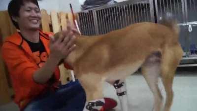 New legs mean ya gotta practice those Slammy Whammies!!