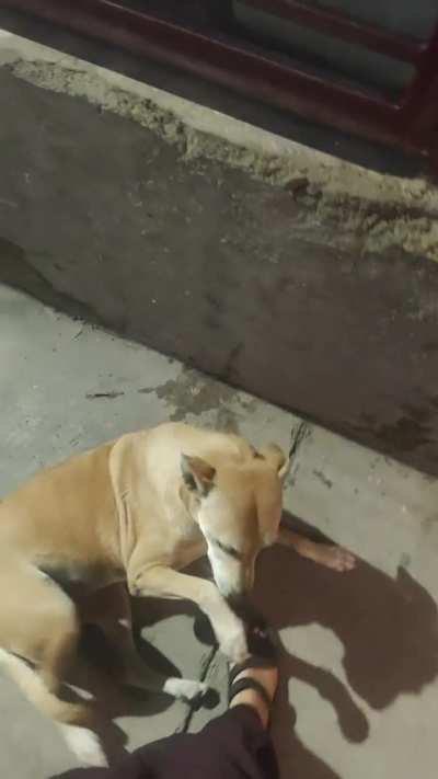 Meri pyari malika❤️