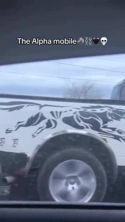 Losercity truck driver