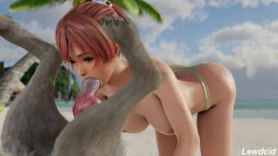 Honoka sucking her dog on the beach (lewdcid)