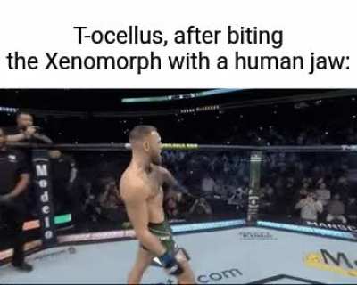 Love this brave little cutie monster