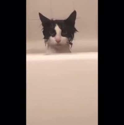 “I’ve been given a bath against my will” *Initiate assassination protocols*