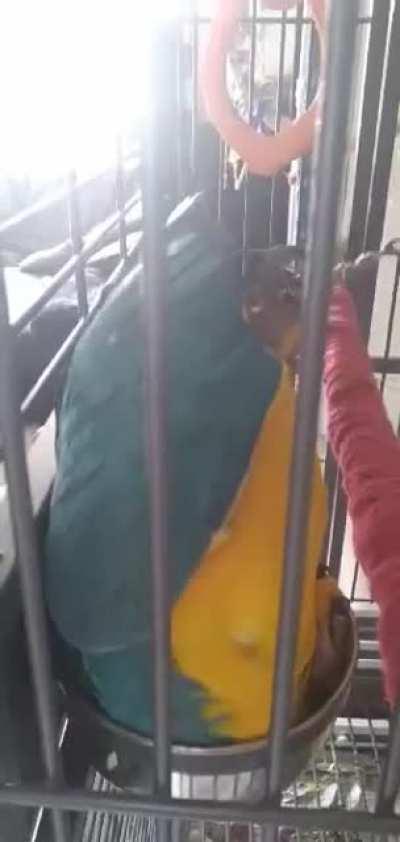 Vinny boy is broken. Send help.