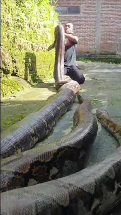 Next food is the owner