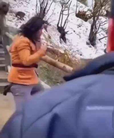 Zoro's No Sword Style Training