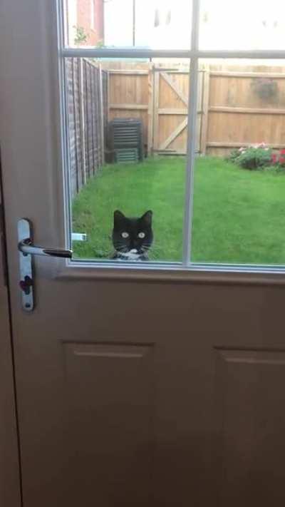 Been trying to catch this on video for months!