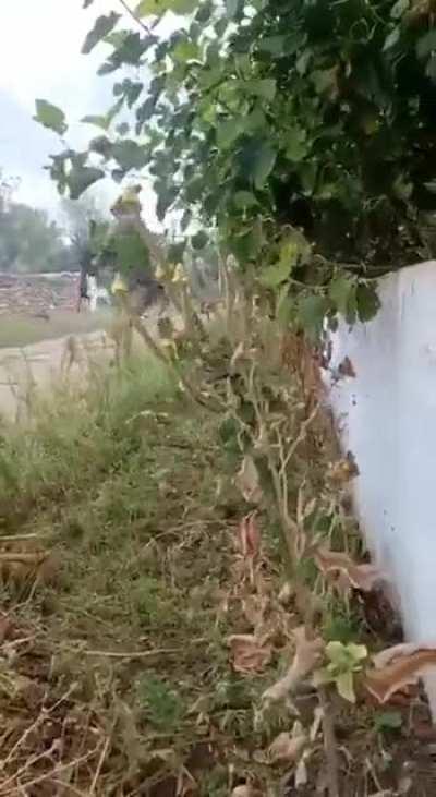 Heavily armed Ukrainians engage in street fighting with Russian forces (Kherson Oblast, date unknown)