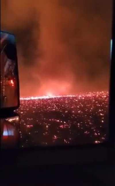 I did not have this on my apocalypse bingo card