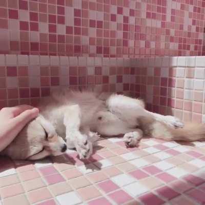 Small happiness boost here⬇️