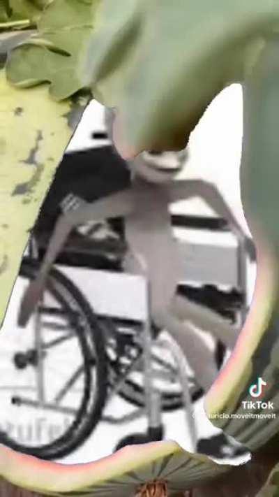 I can't move it move it anymore.....