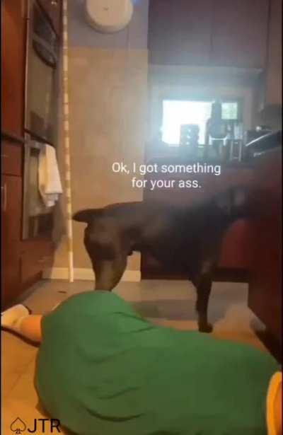 Don't play stupid games with dogs. Because they ain't playin around no more.